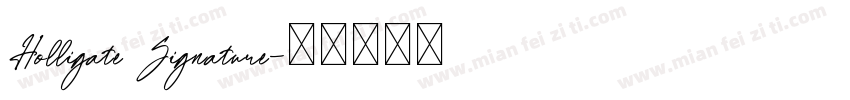 Holligate Signature字体转换